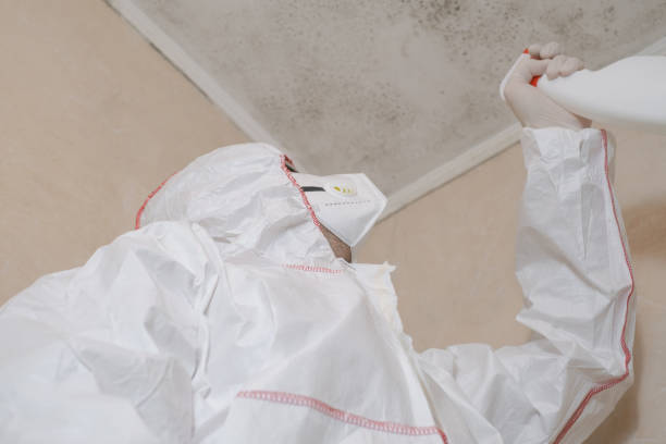 Best Mold Inspection  in Cohoes, NY